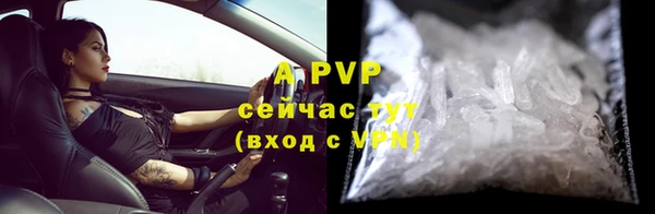 ПСИЛОЦИБИНОВЫЕ ГРИБЫ Костерёво