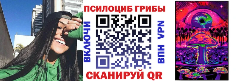сколько стоит  Кумертау  Псилоцибиновые грибы прущие грибы 