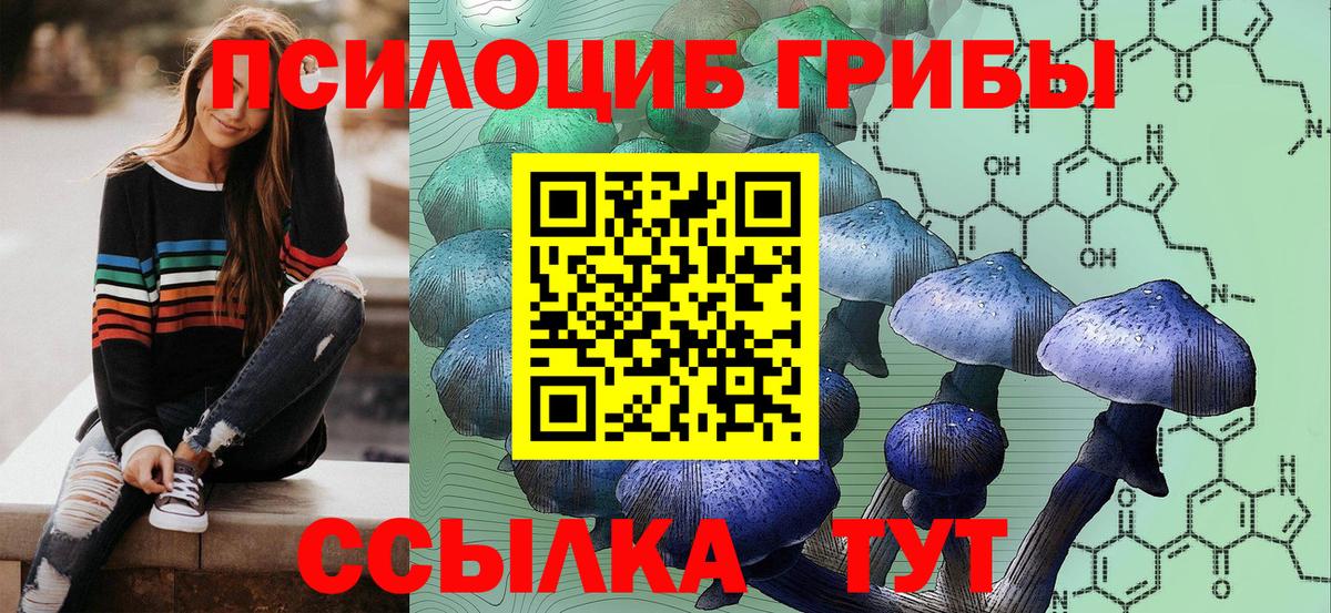 Кумертау  Псилоцибиновые грибы мухоморы  Вход с VPN 