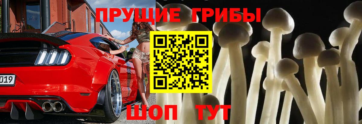 Псилоцибиновые грибы GOLDEN TEACHER Кумертау
